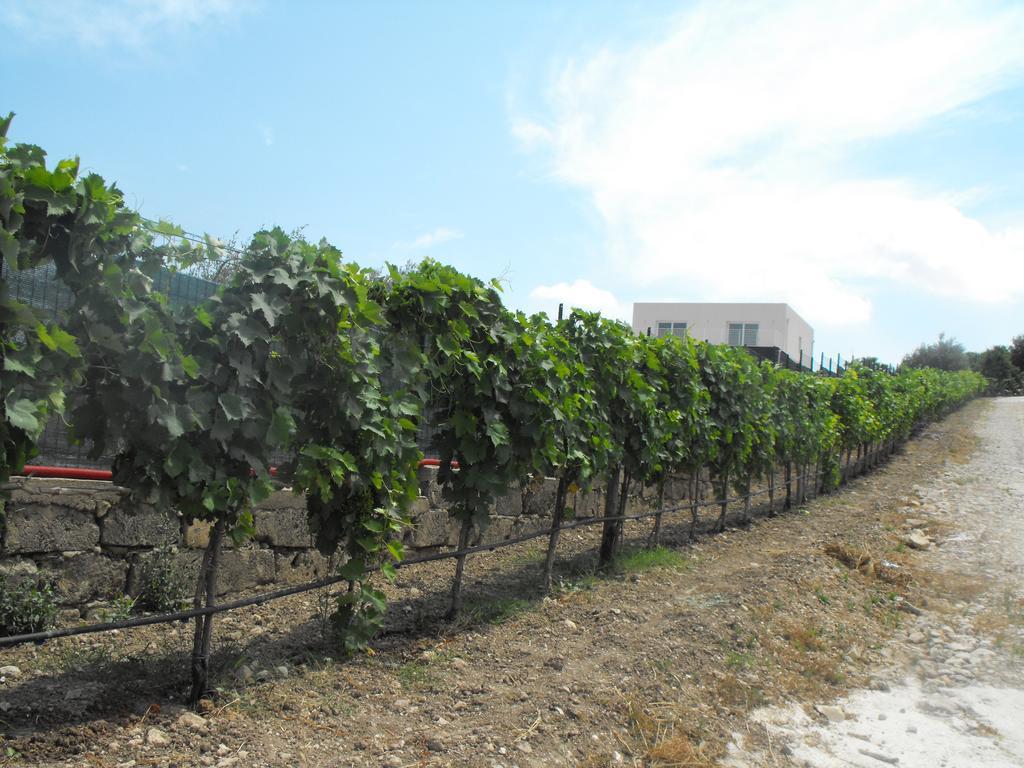 Agriturismoeloropizzuta Lido di Noto Zewnętrze zdjęcie