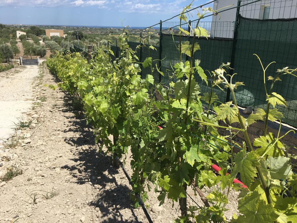 Agriturismoeloropizzuta Lido di Noto Zewnętrze zdjęcie